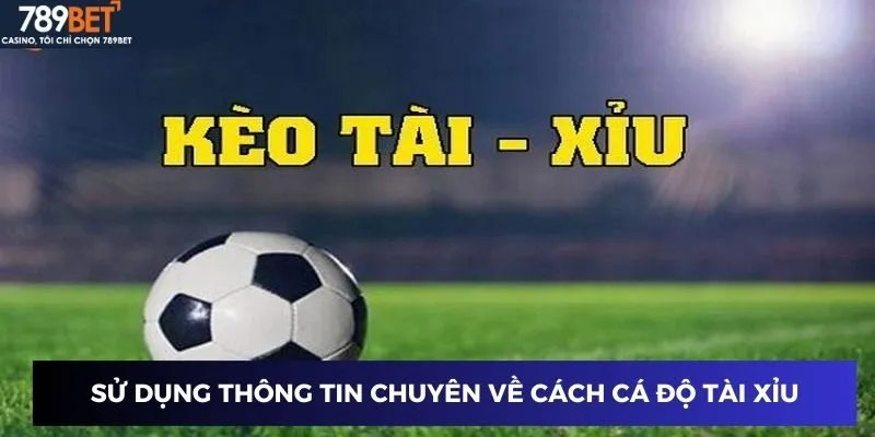 Cách Cá Độ Bóng Đá Tài Xỉu - Bí Quyết Chiến Thắng Cực Dễ 4 Sử dụng thông tin chuyên về cách cá độ bóng đá tài xỉu