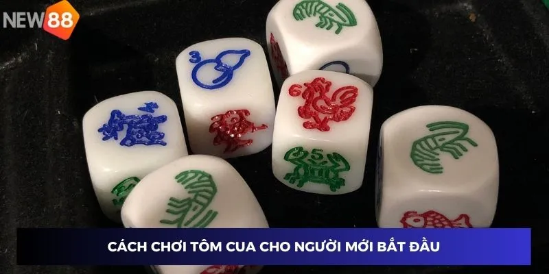 Cách Chơi Tôm Cua Tại 789BET - Bí Quyết Chiến Thắng Chuẩn Xác 2 Cách chơi tôm cua cho người mới bắt đầu