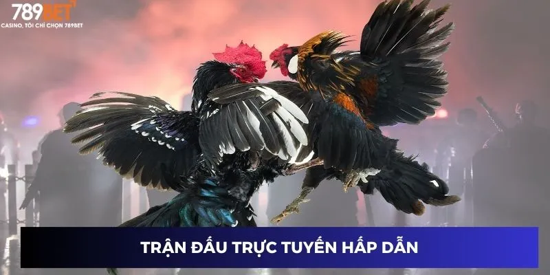 Trận đấu trực tuyến hấp dẫn