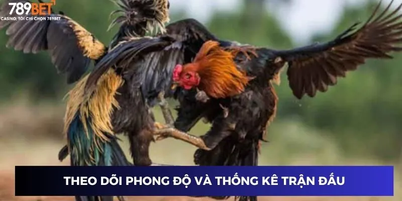 Theo dõi phong độ và thống kê trận đấu