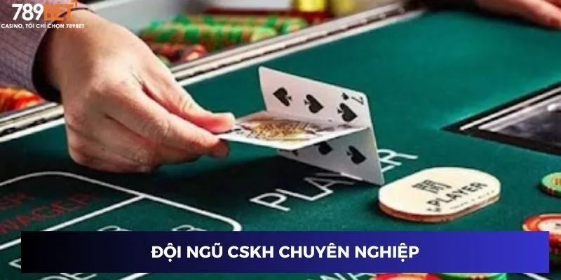 Đội ngũ CSKH chuyên nghiệp