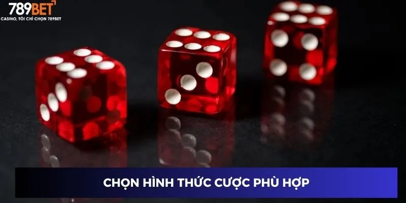 Đánh Tài Xỉu Online - Hành Trình Thăng Hạng Game Thủ 4 Chọn hình thức cược phù hợp