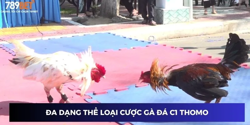 Đa dạng thể loại cược gà đá c1 thomo