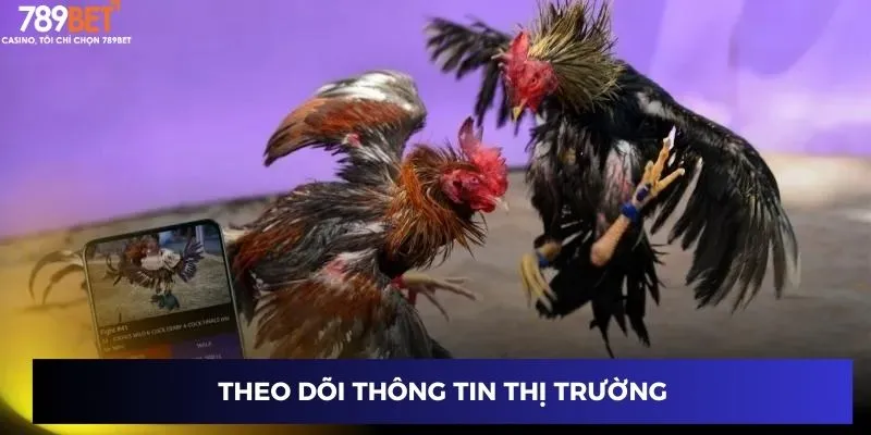 Theo dõi thông tin thị trường