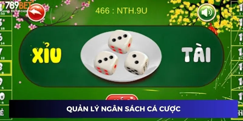 Quản lý ngân sách cá cược