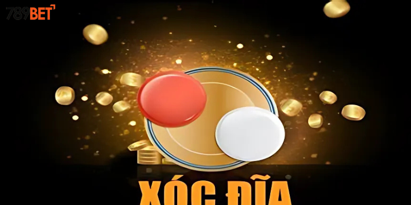 Tìm hiểu về hướng dẫn xóc đĩa