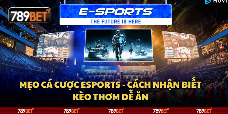 Mẹo cá cược Esports - Cách nhận biết kèo thơm dễ ăn