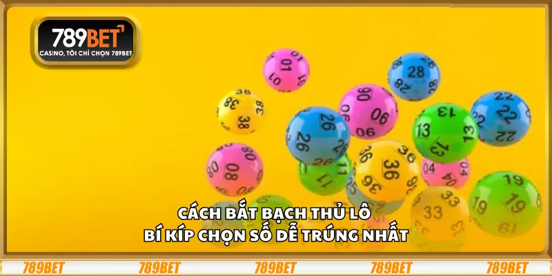 Cách bắt bạch thủ lô - Bí kíp chọn số dễ trúng nhất