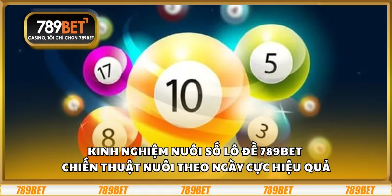 Kinh nghiệm nuôi số lô đề 789BET chiến Thuật Hữu Ích 1 Kinh nghiệm nuôi số lô đề 789Bet - Chiến thuật nuôi theo ngày cực hiệu quả