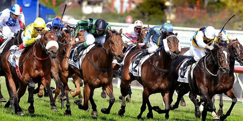 Mẹo cá cược đua ngựa 789Bet – Cách chọn ngựa thắng dễ dàng 2 Luật cá cược đua ngựa cơ bản đến nâng cao từ A-Z
