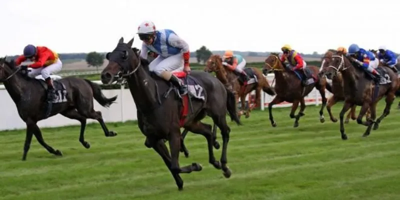 Mẹo cá cược đua ngựa 789Bet – Cách chọn ngựa thắng dễ dàng 3 Những hình thức cá cược đua ngựa được ưa chuộng