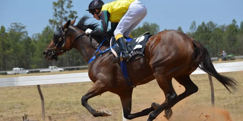 Mẹo cá cược đua ngựa 789Bet – Cách chọn ngựa thắng dễ dàng 4 Phương pháp nào giúp có mẹo cá cược đua ngựa bất bại?