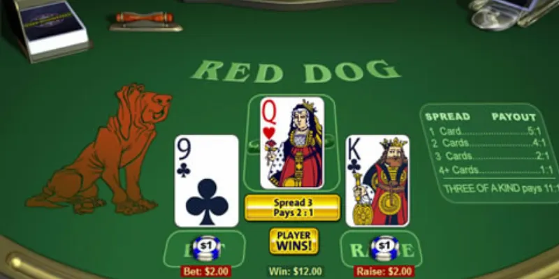 Tổng hợp luật chơi Red Dog Poker đầy đủ từ A đến Z