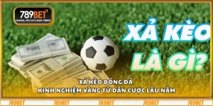 Xả kèo bóng đá – Kinh nghiệm vàng từ dân cược lâu năm