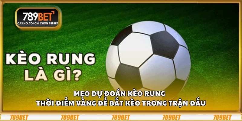 Mẹo dự đoán kèo rung - Thời điểm vàng để bắt kèo trong trận đấu