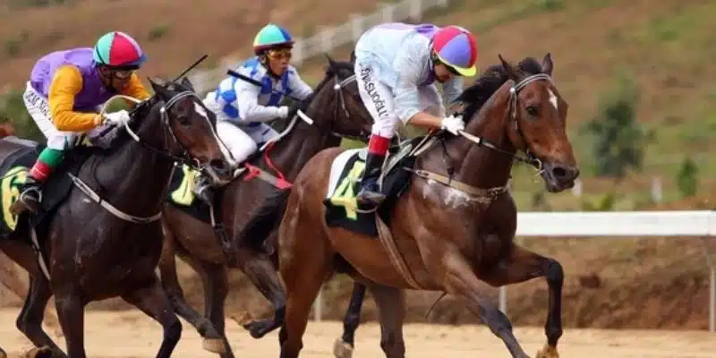 Mẹo thắng cược đua ngựa - Cách chọn ngựa chiến thắng chính xác 2 Các yếu tố quyết định kết quả trong đua ngựa