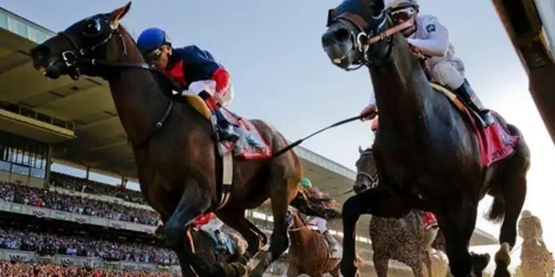 Mẹo thắng cược đua ngựa - Cách chọn ngựa chiến thắng chính xác 3 Tổng hợp các loại kèo cược đua ngựa phổ biến