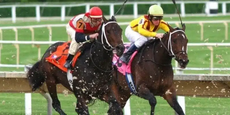 Mẹo thắng cược đua ngựa - Cách chọn ngựa chiến thắng chính xác 4 Bật mí mẹo thắng cược đua ngựa hiệu quả nhất