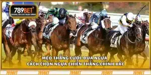 Mẹo thắng cược đua ngựa - Cách chọn ngựa chiến thắng chính xác